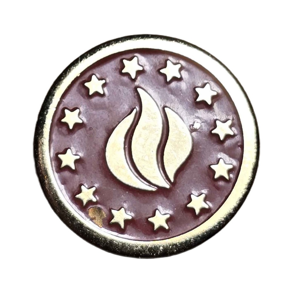 Gold Tone Flame Logo Stars Red Enamel Corporate Lapel Vest Hat Pin K13